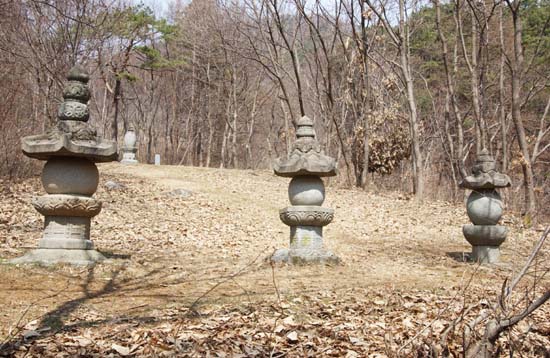 아직 갈색이지만 스님들의 사리를 모신 부도에도 봄기운은 완연했다. 